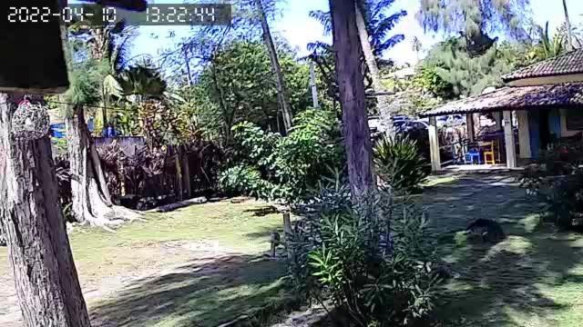 Pousada Vila Imbassai Kültér fotó